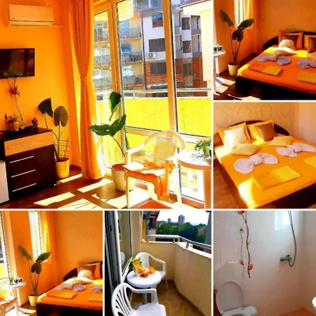 вълчеви Nesebar