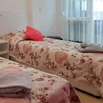 вълчеви 4* Nesebyr