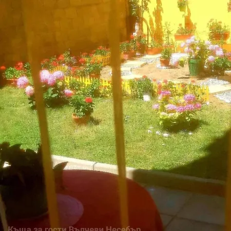 вълчеви Guest house