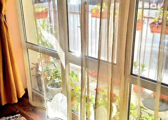 вълчеви Neszebar